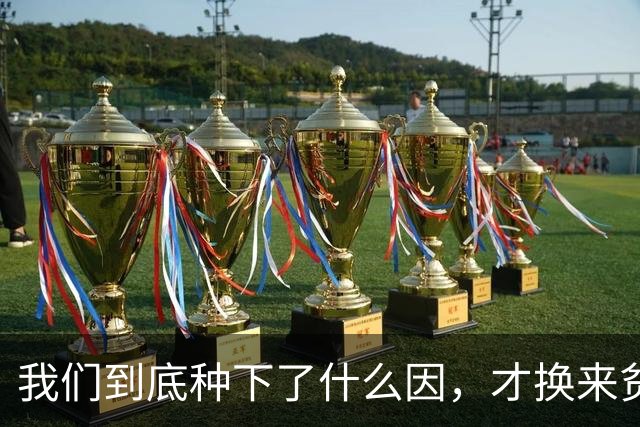 我们到底种下了什么因，才换来贫富分化、年轻人不婚不育的果？